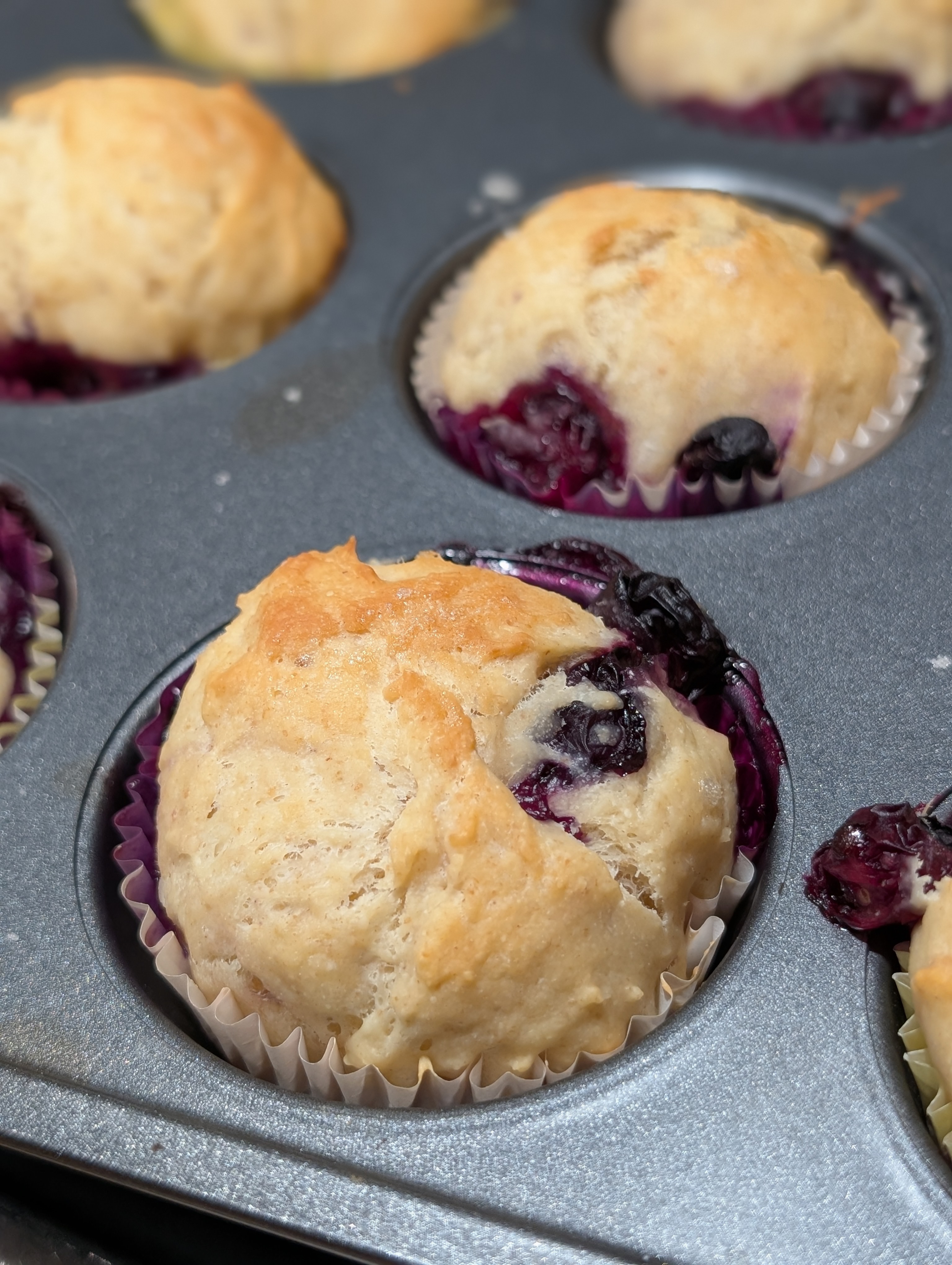 Antique 1890s Blueberry Muffins - Baking Powder